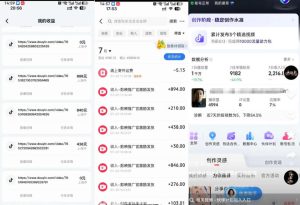 外面卖299的爆款二创配音情感语录教学，一个作品20分钟左右，伙伴计划+剪映拉新+收徒等多种收益-项目资源库