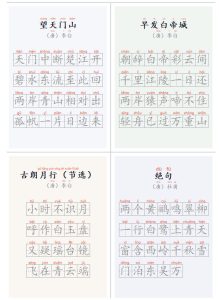 学习神器,汉字拼音字帖生成器,汉字+拼音 一键生成字帖/默写/填空卷,支持词组、成语,老师、家长必备-项目资源库